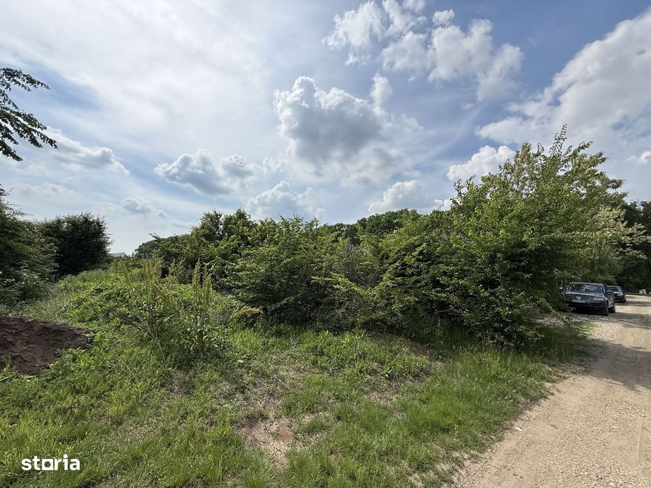 Teren intravilan 498,02 mp langa pădure , strada privata Corbeanca