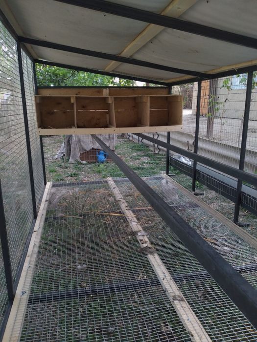 Товук катак сотилади заказга ясабам бераман