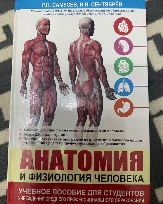 Книга по анатомии