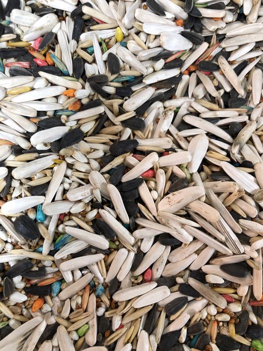 Корм для попугаев