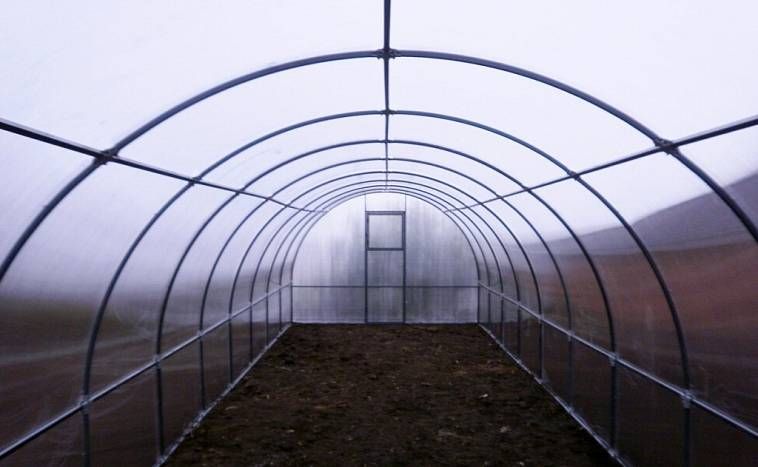 Плёнка для теплиц!