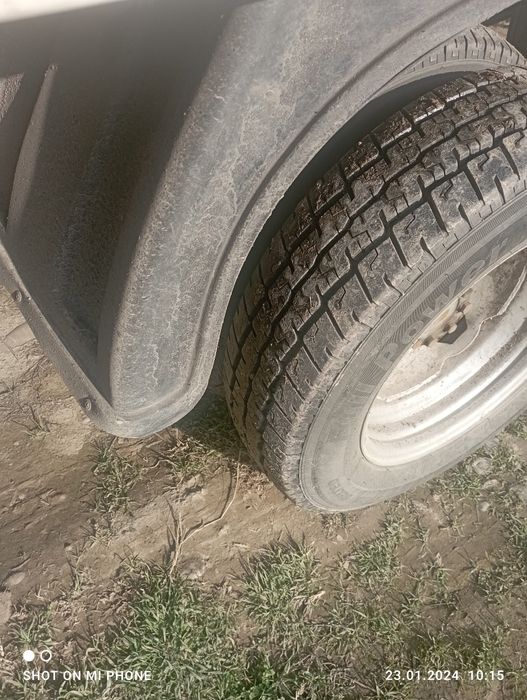 Gazel  sotiladi gurzavoy