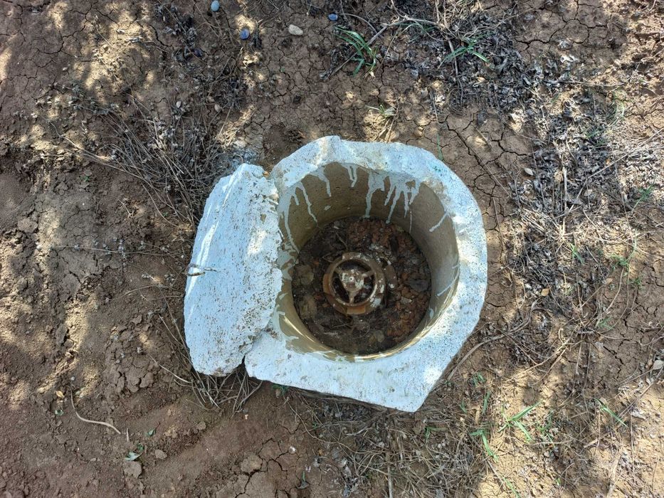 Продава се Земеделски имот в с. Завой, Област Ямбол -  кв.м за 1700 €/дка - Снимка #5