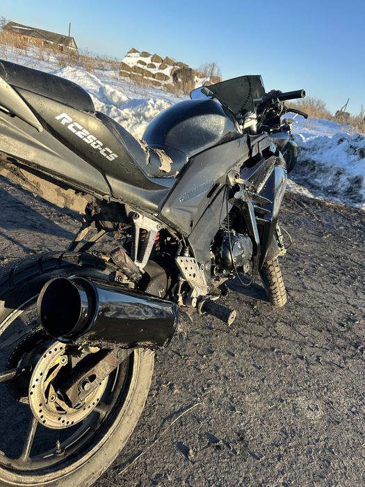 Рейсер скайвей 250