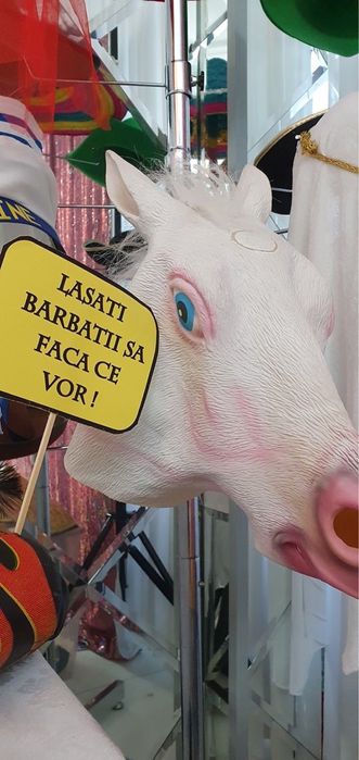 Cabina foto-copii-platforma 360-fum greu-oglinda magica