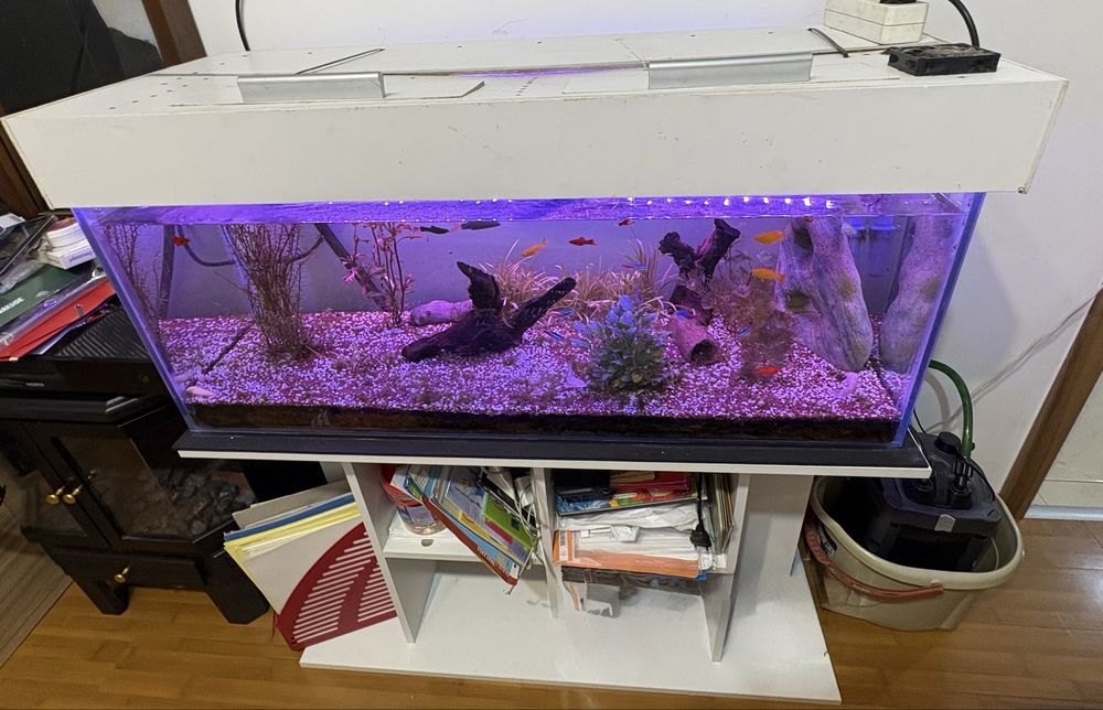 Vand acvariu+filtru extern