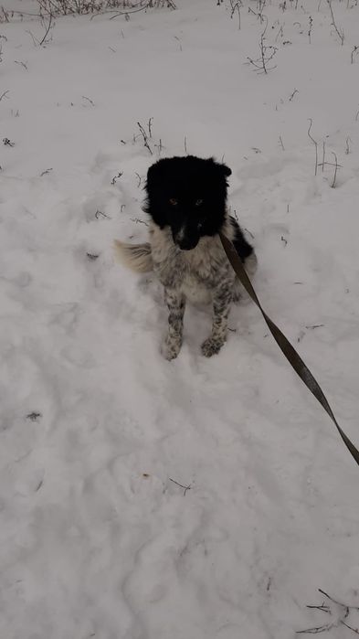 Кому ЗвонОчкоВ и СтороЖей