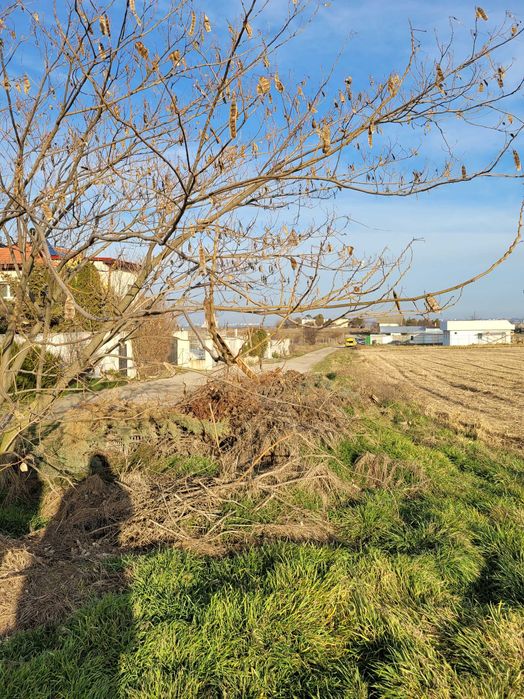 Proprietar, vând 1000 mp teren intravilan, Techirghiol, utilități