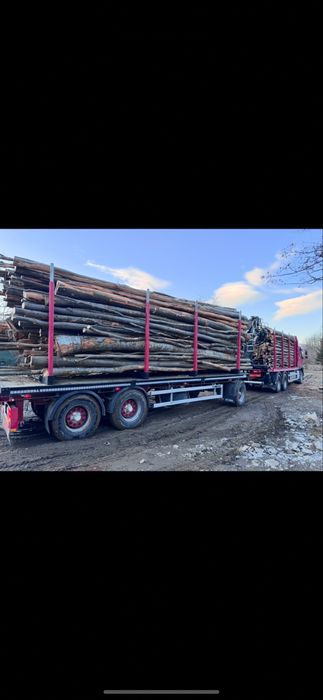 Lemn foc esenta FAG de vanzare.Transport asigurat.