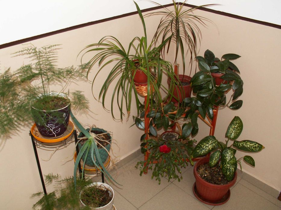 Konica Minolta DiMAGE Z3  - комплект