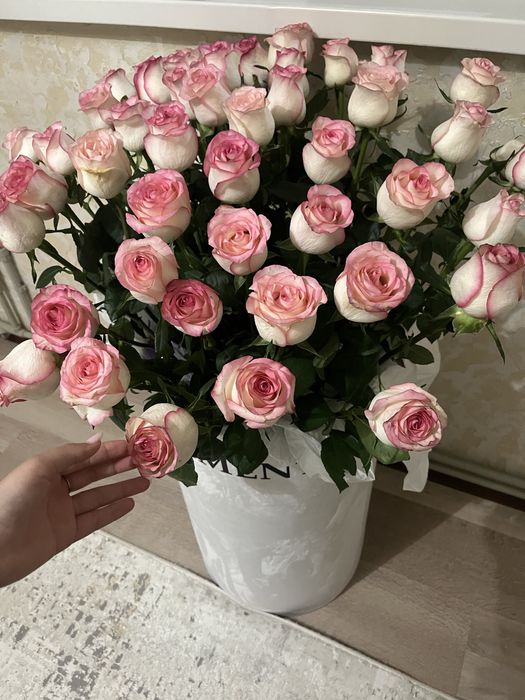 Продам срочно свежие розы!!