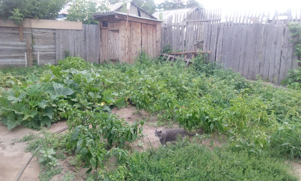 Продам отдельностоящий дом