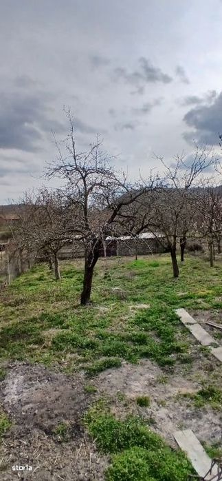 Exclusivitate! Casa individuala cu pozitie buna in Moldovenesti-Cluj