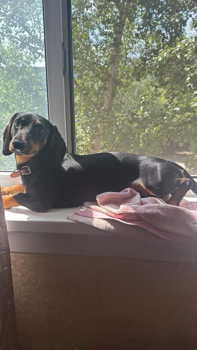 Предлагается для вязки кабель