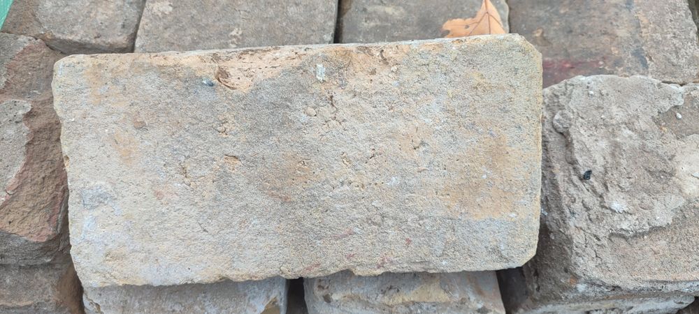 Кирпичи Николай - гиштлари оптом