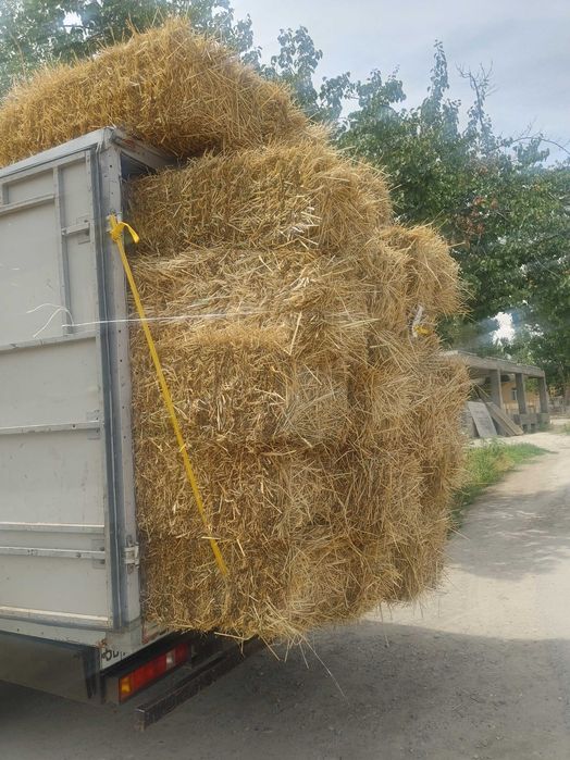 somon bor  120 lik     Namangan