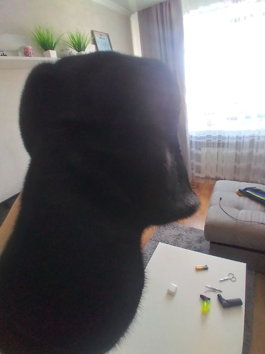 Продам шапку норковую