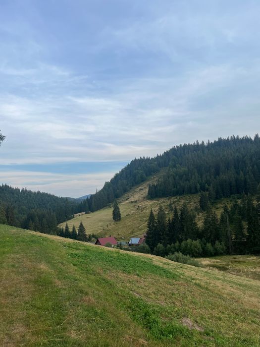 Teren de vânzare Arieseni
