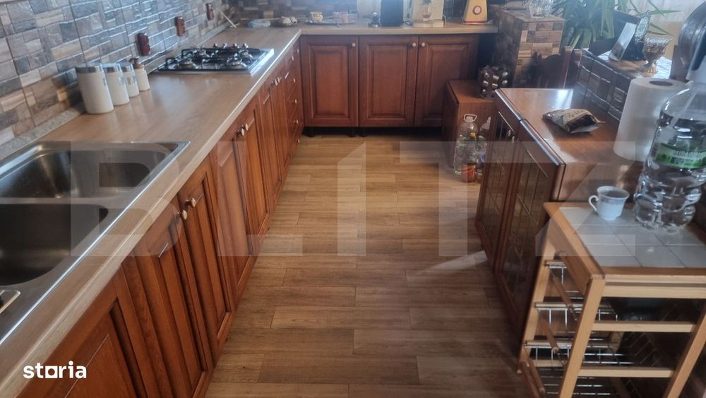 Vila 3 Ha Teren Cu Afacere In Conservare