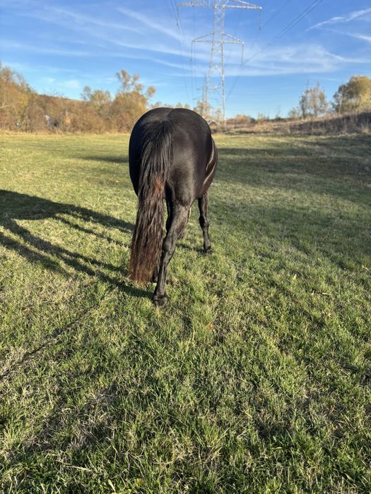 Iapa de vanzare. !!!