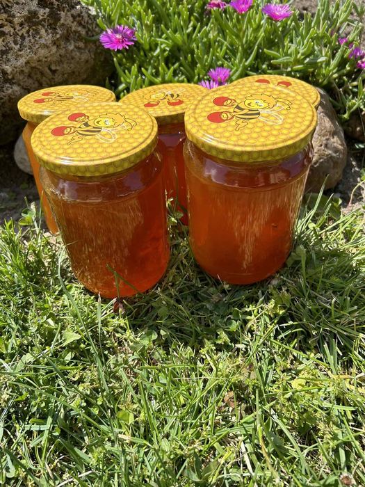 Предлагам Натурален пчелен Мед