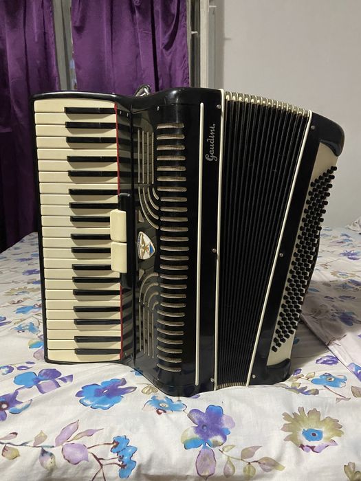 Vand acordeon Ariston Gaudinii 120 bași