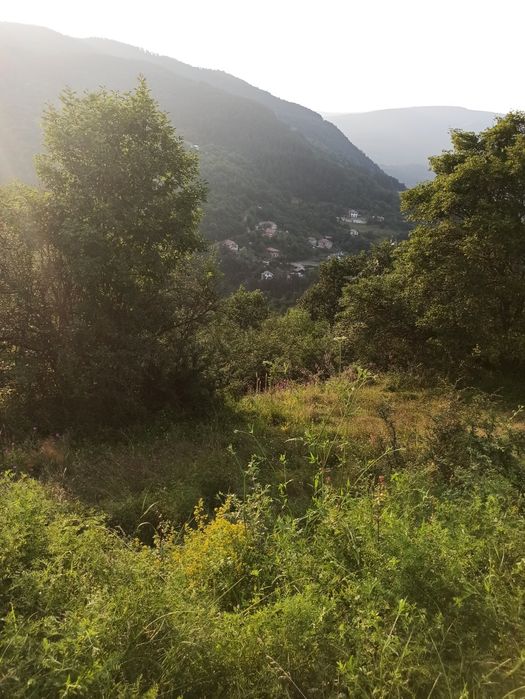 Продава се Парцел в с. Свидня, Област София-област - 800 кв.м за 6 €/кв.м - Снимка #2