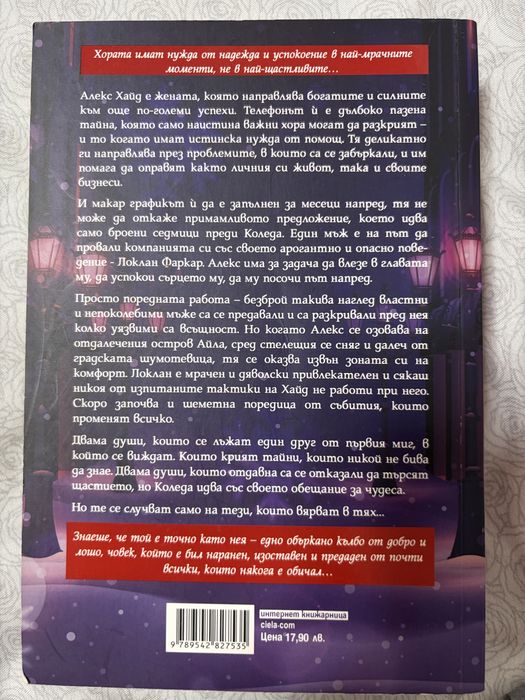 Коледна тайна, Карън Суон