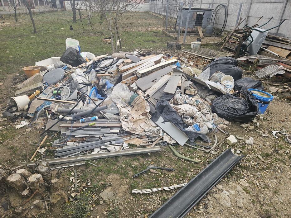 Fac debarasari in timisora