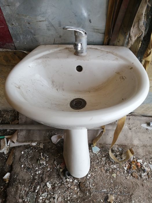 Раковина, тюльпан.