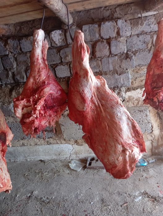 Говядина молодняк