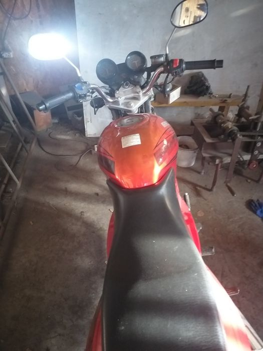 Рейсер магнум 250