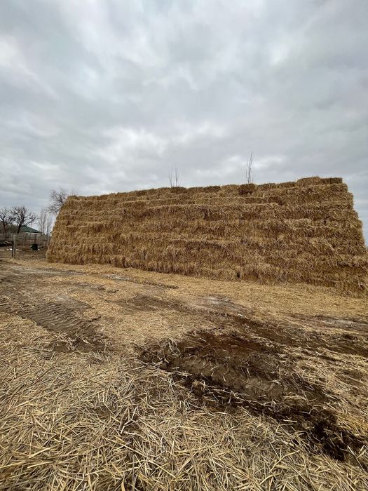 Саван пресс сатылады