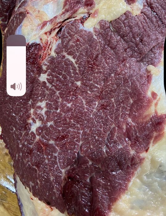 Согым жылкы(бие) сатылады.