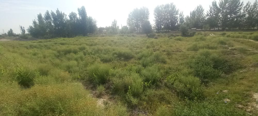 Diqqat uchastka sotiladi