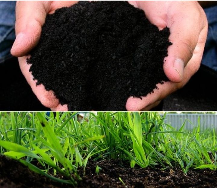 Навоз Перегной Чернозём