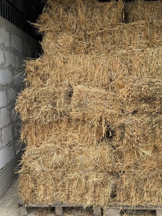 Vând baloți de lucernă