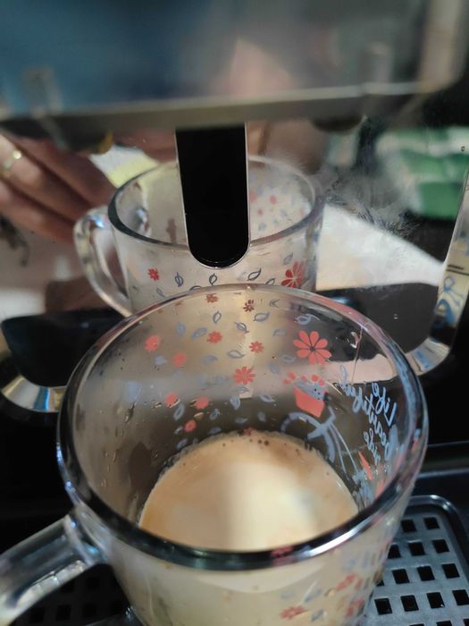 vand sau schimb  espresor automat Krups Evidence EA 89