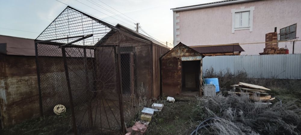 Курятник голубятник