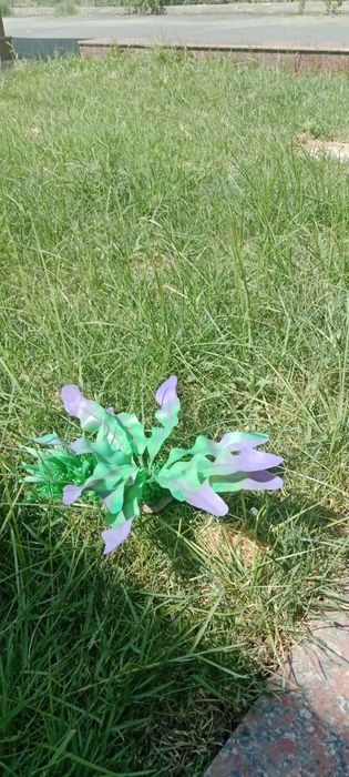 Украшения для аквариума цена договорная