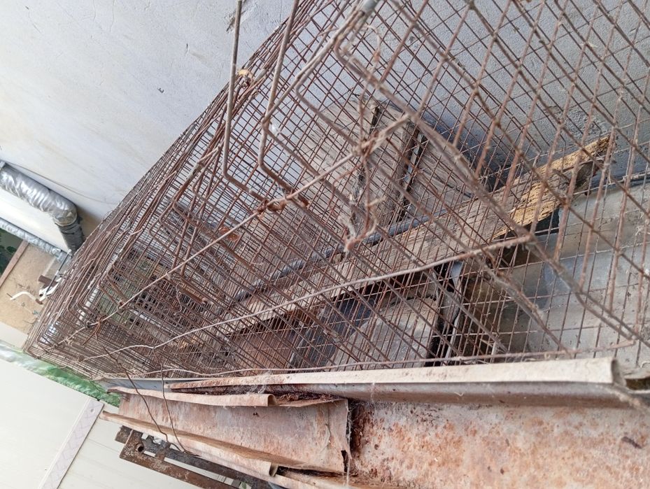 100 та товукга мулжалланган кафаслар