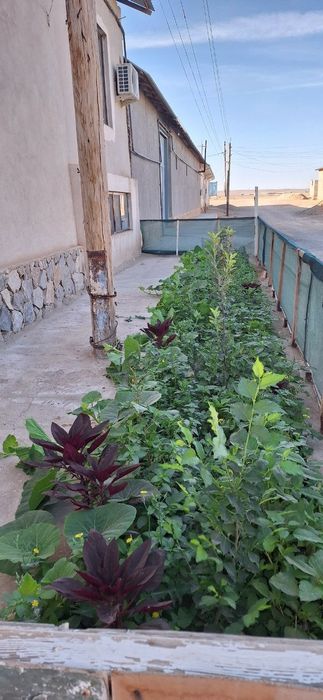 Zarafshonda Hovli sotiladi Zalatinka