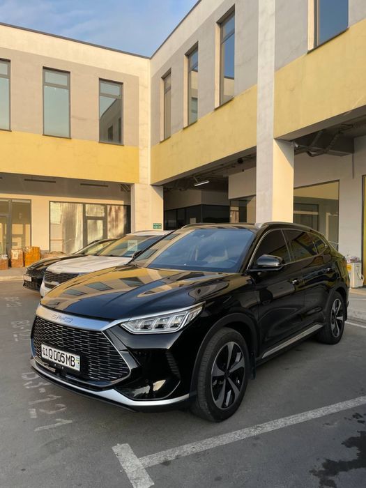 Song plus gibrit tozza kraska