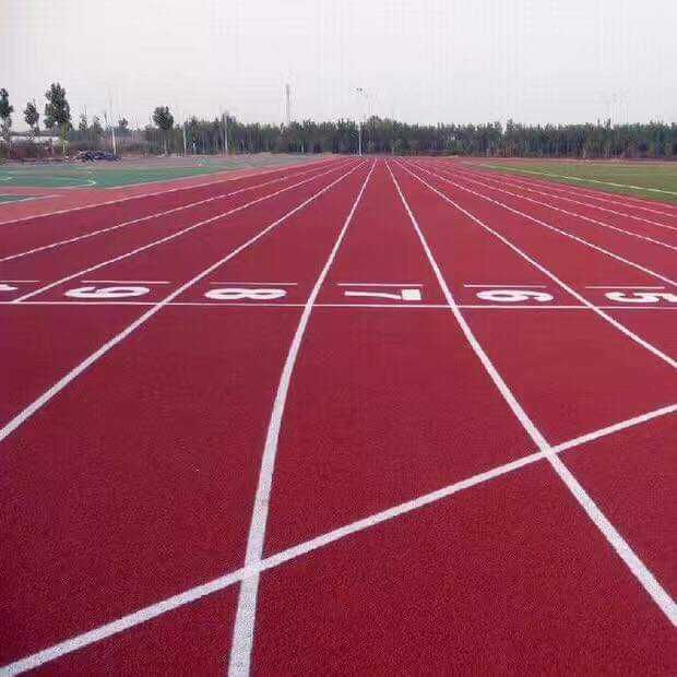 Yugurish va velosiped yo'llaqcha qurish xizmati. Беговая и велодорожка