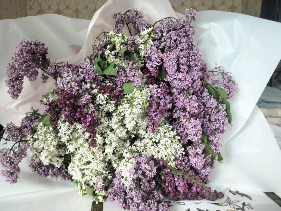 Большой букет свежие цветы