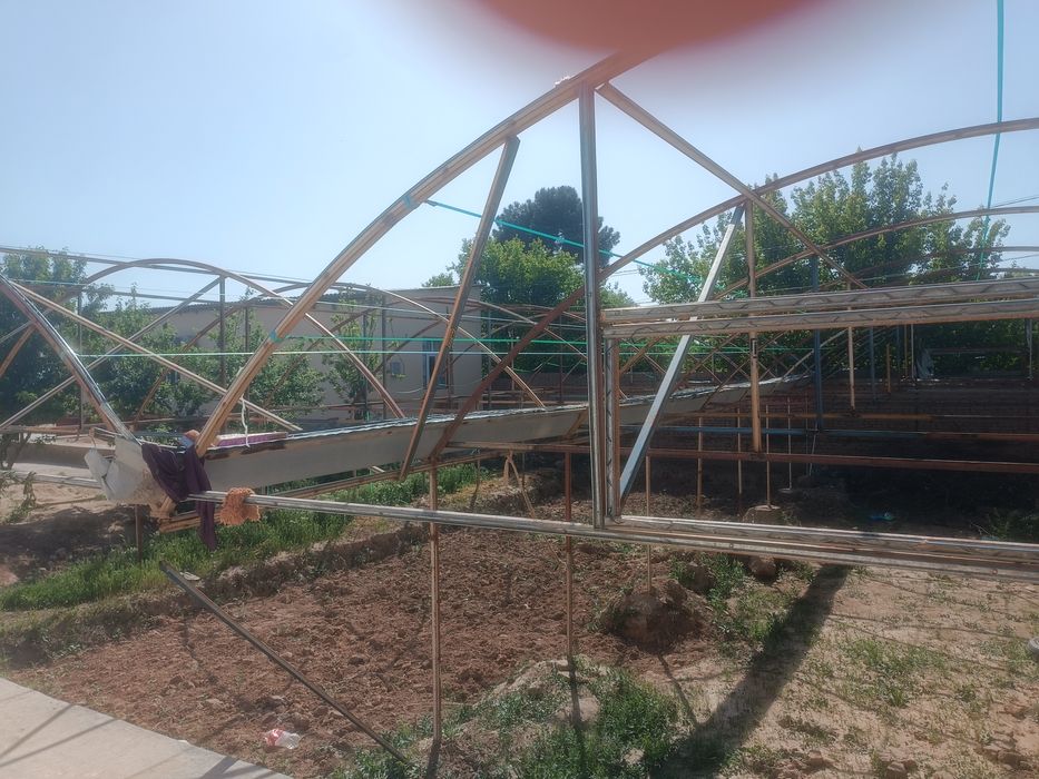 tiplisa yaxshi xolata turibdi