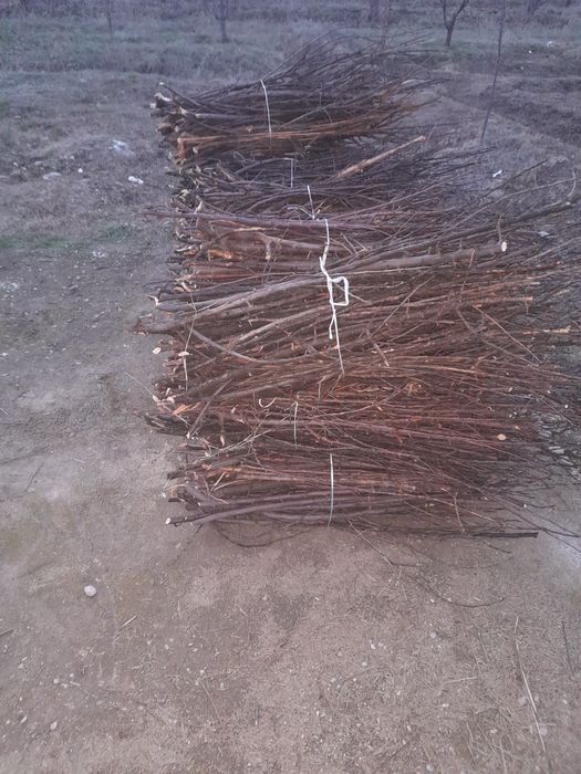 Майда утин богланган