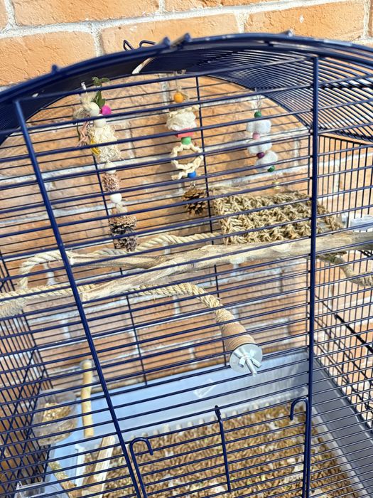 Colivie/cusca pasari papagali