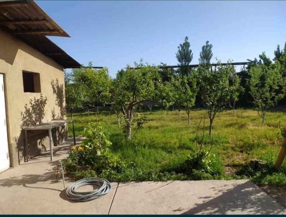 Уй сотилади.Бустонлиқ тумани Қорабой (Абай)  қишлоғи Найман кучаси 27у