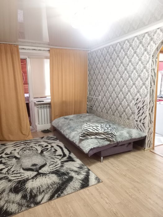 1 комн квартира посуточно